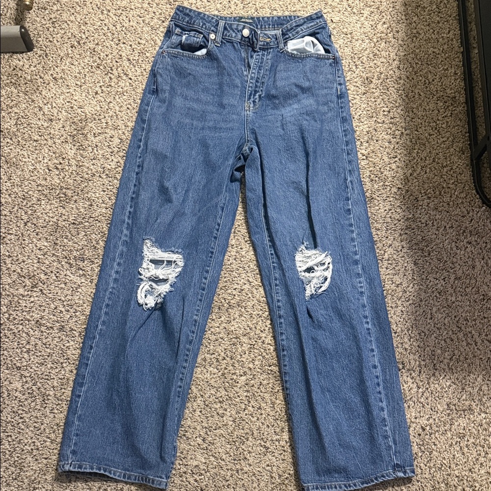 Highest Rise Baggy Jeans WILD FABLE 8/29